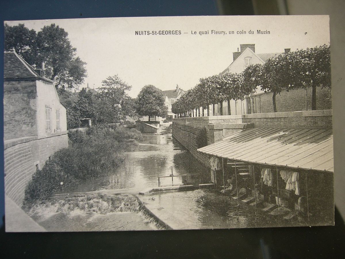 Nuits-Saint-Georges - Lavoir (21) [1]